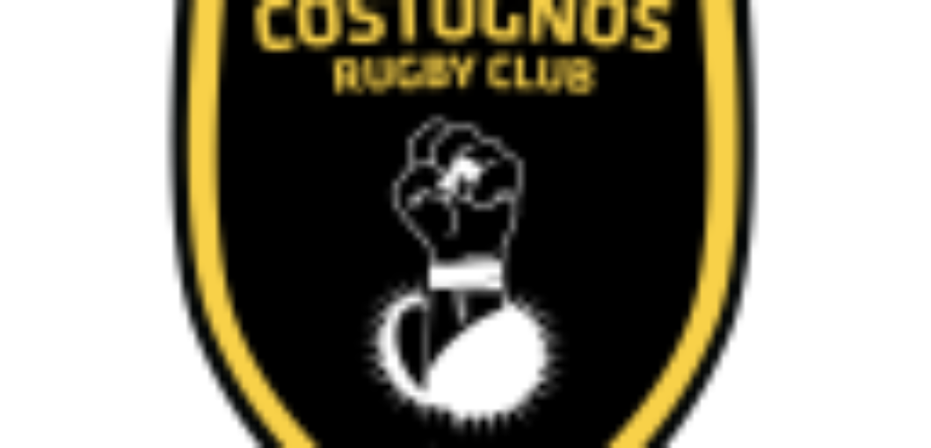 160731_costognos_logo_vprint-128x128