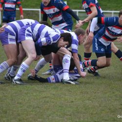 055-dsc_3560