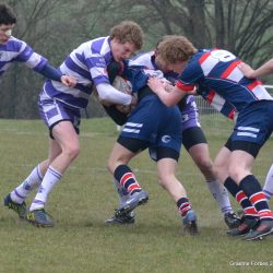 081-dsc_3684