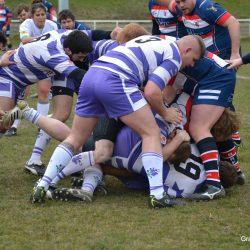 087-dsc_3704