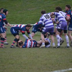 118-dsc_3799