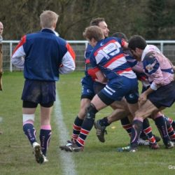 141-dsc_1855