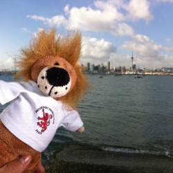 19_293381_122511631187877_794002580_n