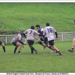 279534IMG4049