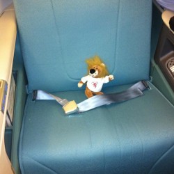 39_291026_106497926122581_3408447_o