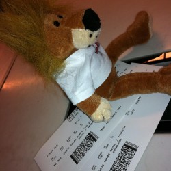 42_321903_106409349464772_7476313_o