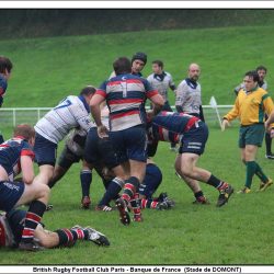 802646IMG3896