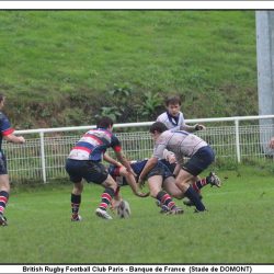 956315IMG3831