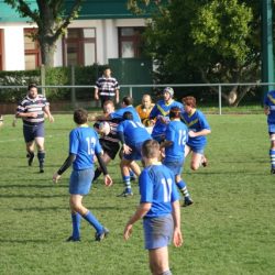 IMG_0884