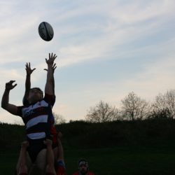 IMG_1224