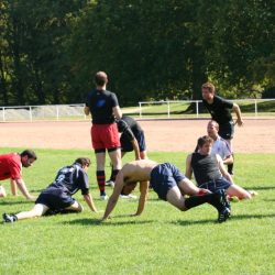 IMG_1386