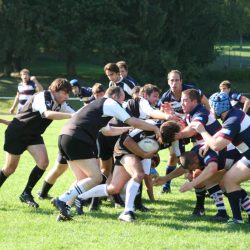 IMG_1441