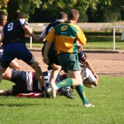 IMG_1512