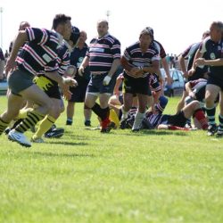 IMG_1743