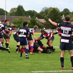 IMG_2562