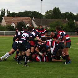 IMG_2565