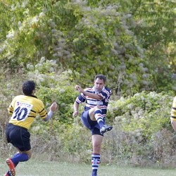 adp-friendly-2009-11