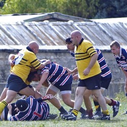 adp-friendly-2009-31