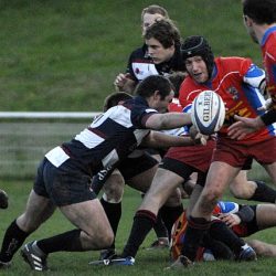 antony_2010_107