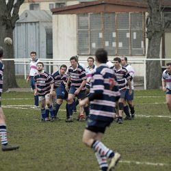 banquedefrance12