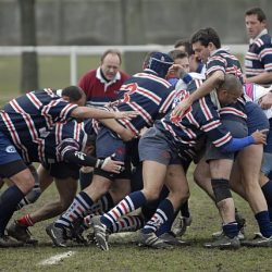 banquedefrance17
