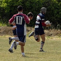 brfc_bsp_091