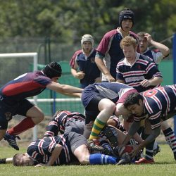 brfc_bsp_2010-05