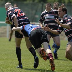 brfc_bsp_2010-12