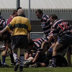 brfc_bsp_2010-13