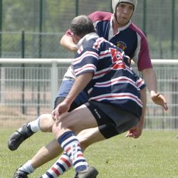 brfc_bsp_2010-16