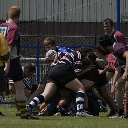 brfc_bsp_2010-18