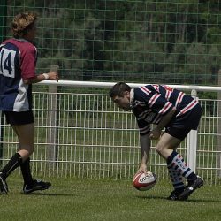 brfc_bsp_2010-26