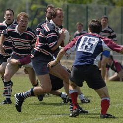brfc_bsp_2010-32