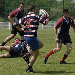 brfc_bsp_2010-35