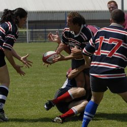 brfc_bsp_2010-37