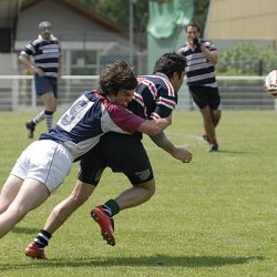 brfc_bsp_2010-46