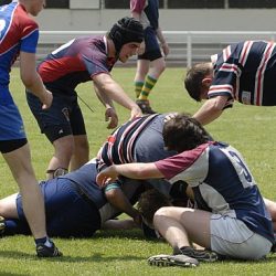 brfc_bsp_2010-69