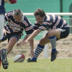 brfc_bsp_2010-71