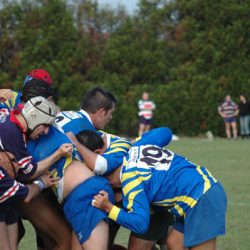 photo19
