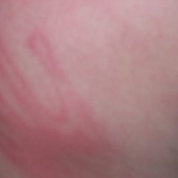 photo8