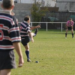 porc2008_003