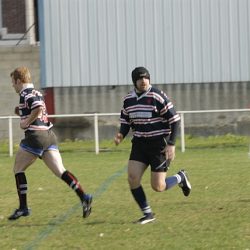 porc2008_004