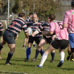 porc2008_006