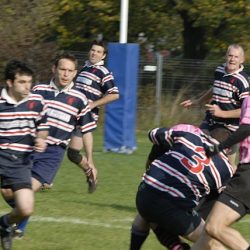 porc2008_009