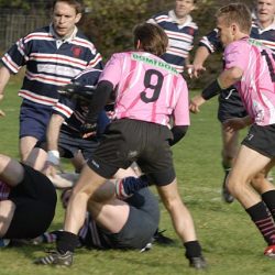 porc2008_011