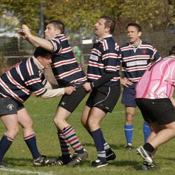 porc2008_012