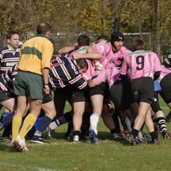 porc2008_014