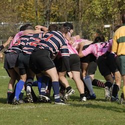 porc2008_015