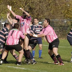 porc2008_016