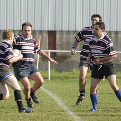 porc2008_017